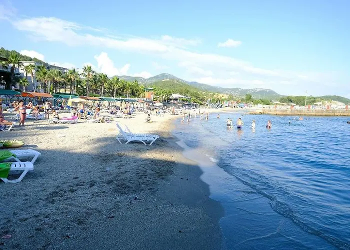 Larissa Hill Konaklı