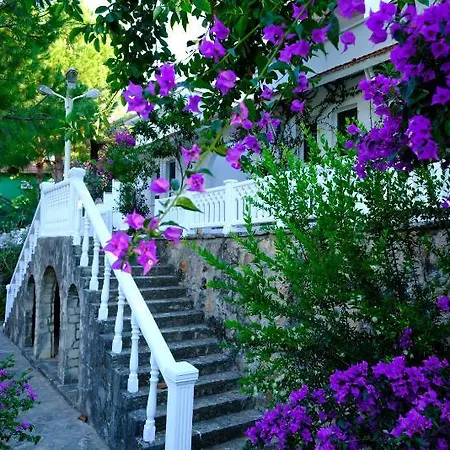 Larissa Hill Hotel 5*